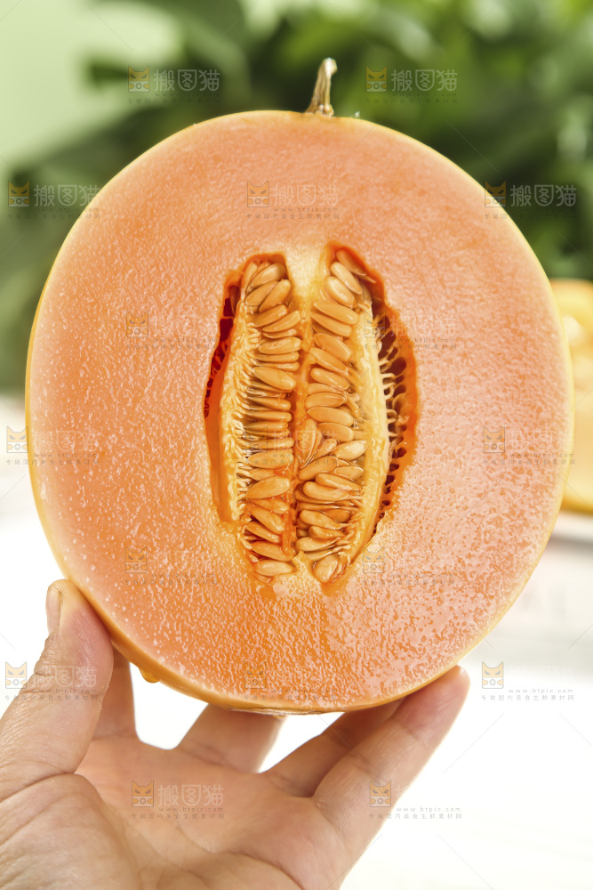 黄河蜜瓜