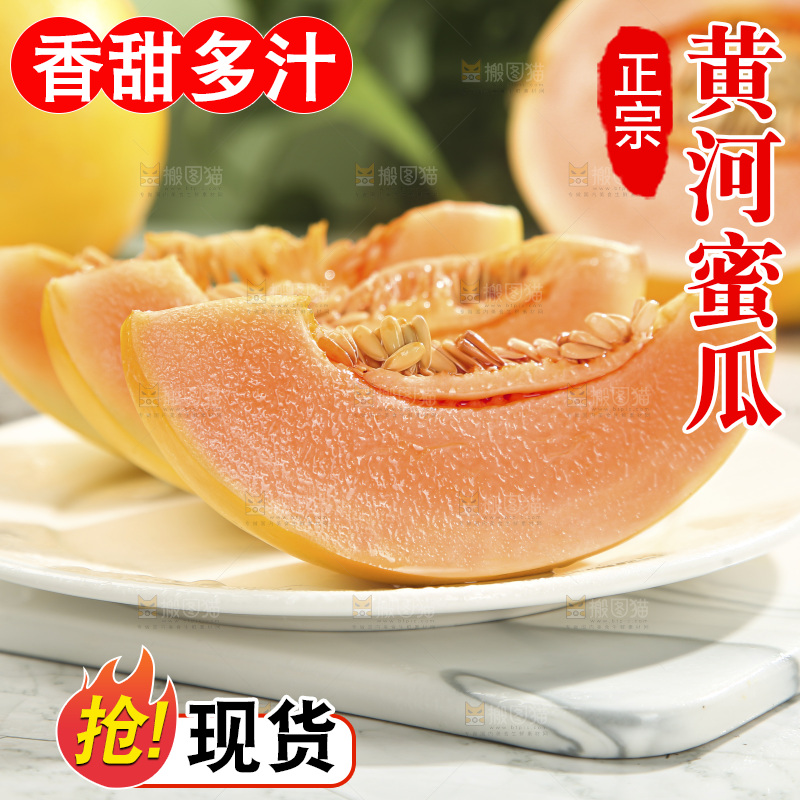 黄河蜜瓜