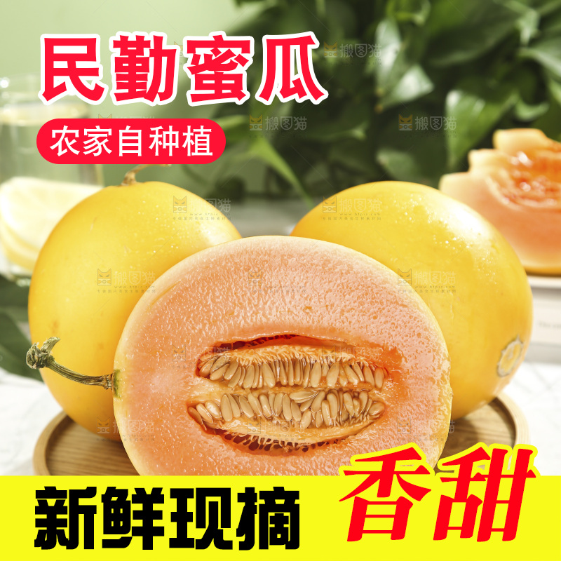 黄河蜜瓜