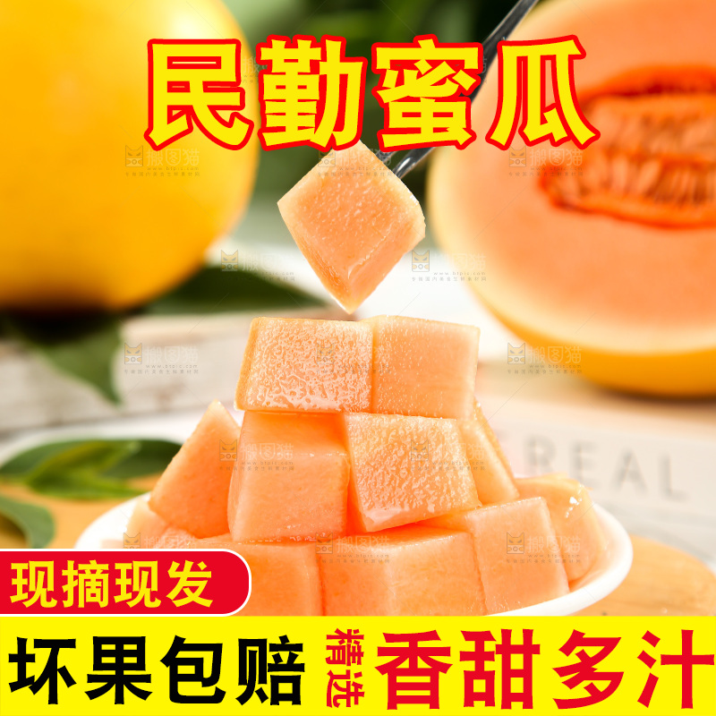 黄河蜜瓜