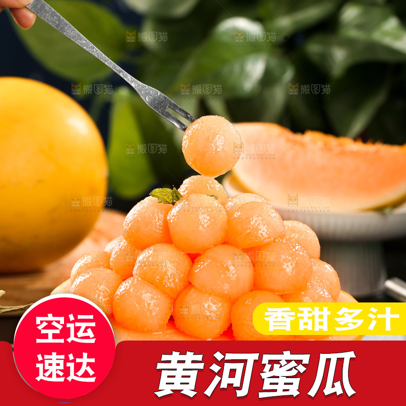 黄河蜜瓜