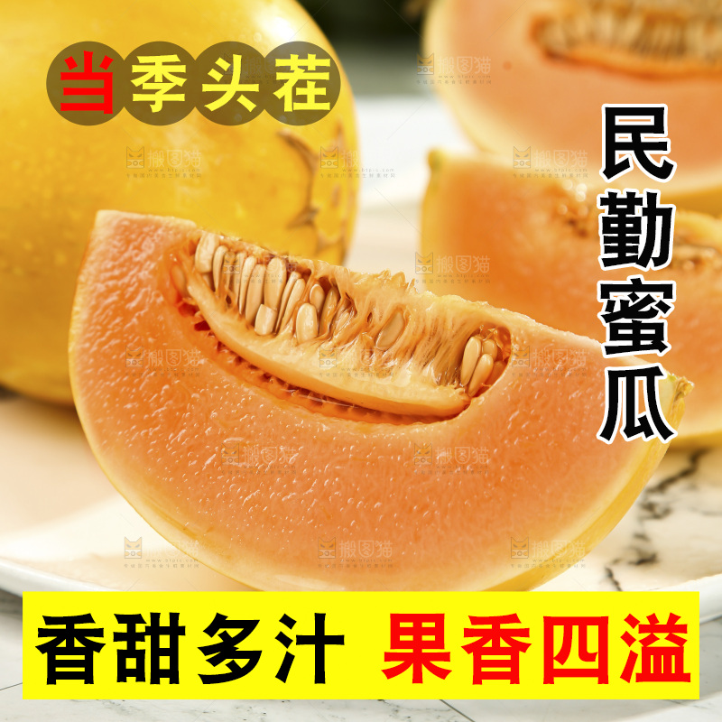 黄河蜜瓜