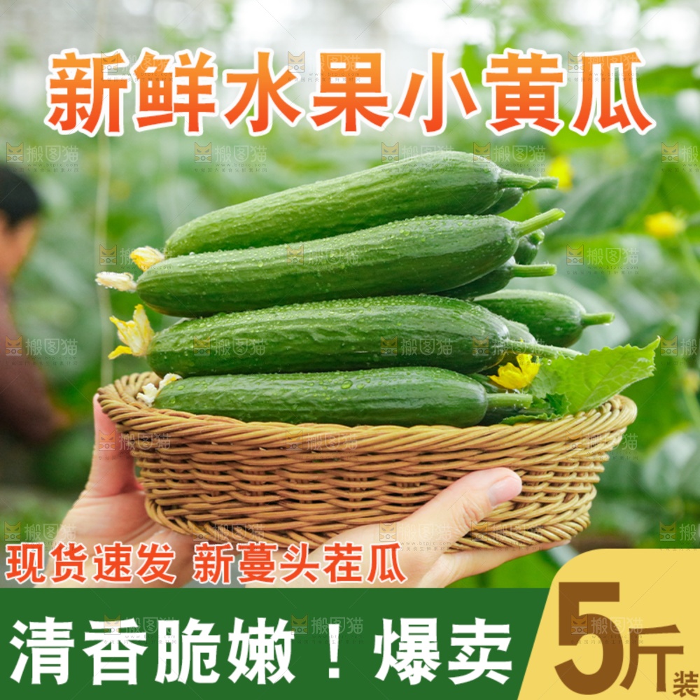 水果黄瓜主图