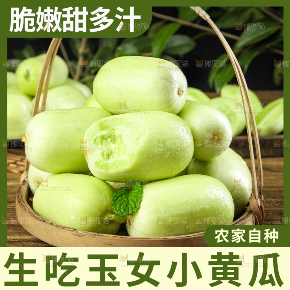 玉女黄瓜主图