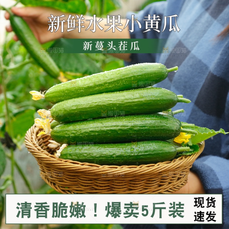 水果黄瓜主图