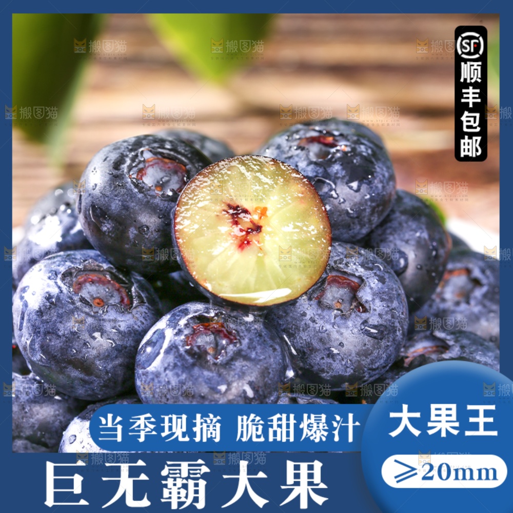 蓝莓主图