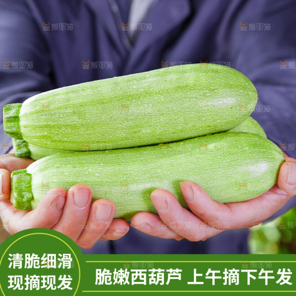 西葫芦主图