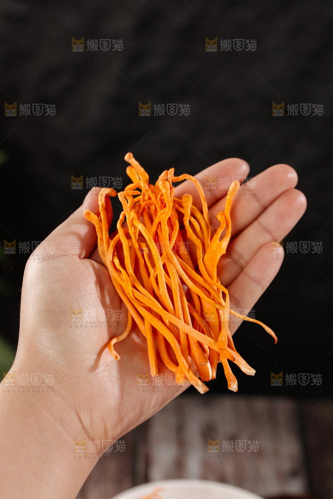 虫草花