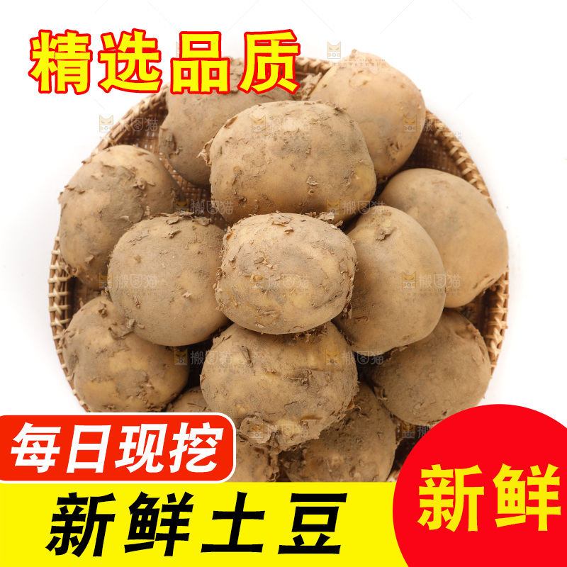 土豆