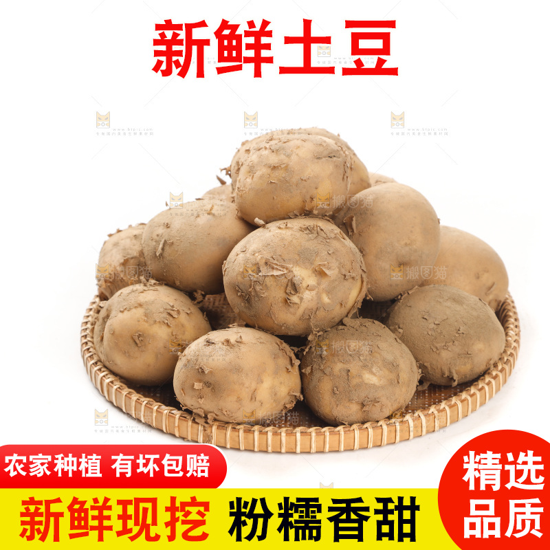 土豆