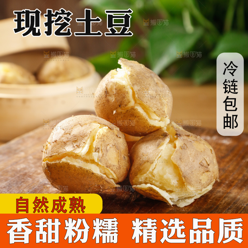 土豆