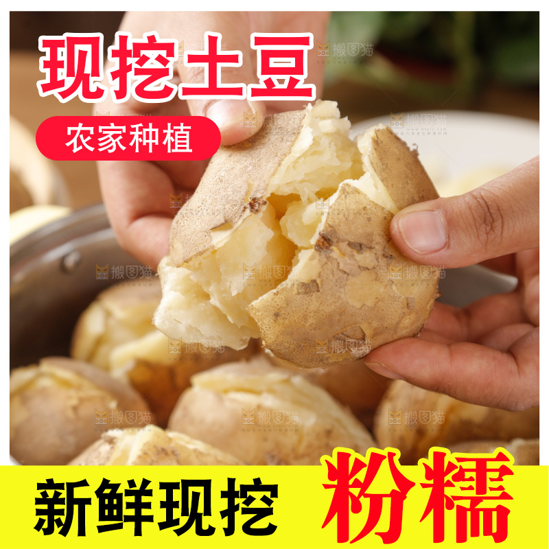 土豆