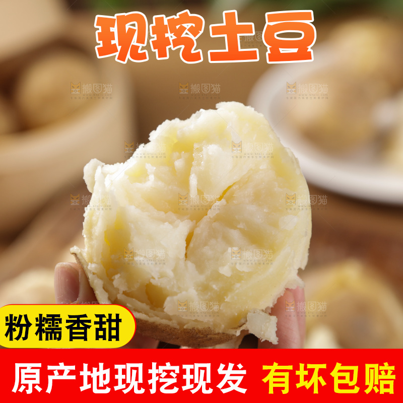 土豆