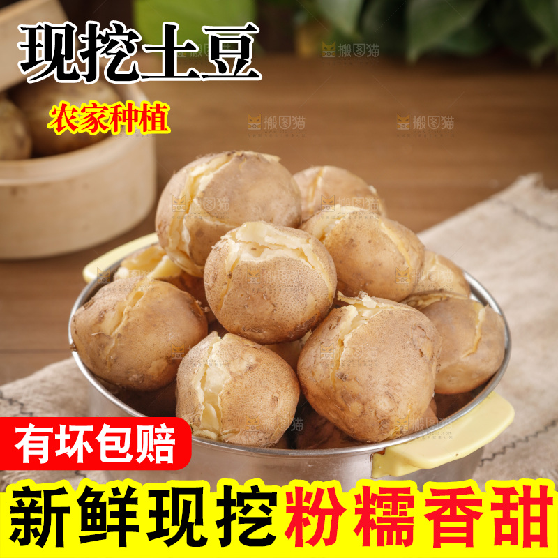 土豆