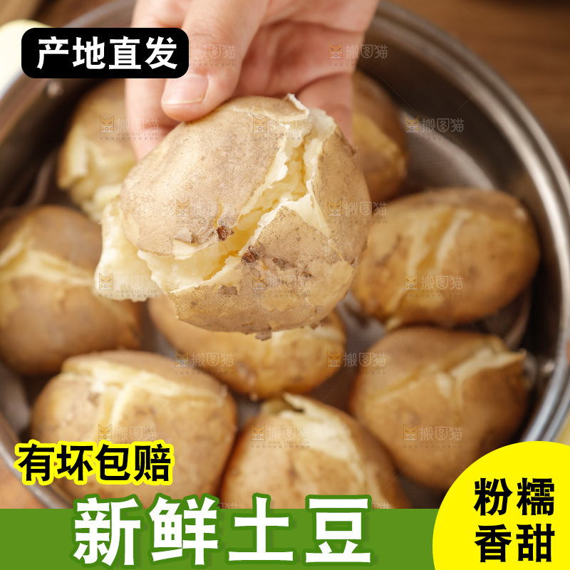 土豆