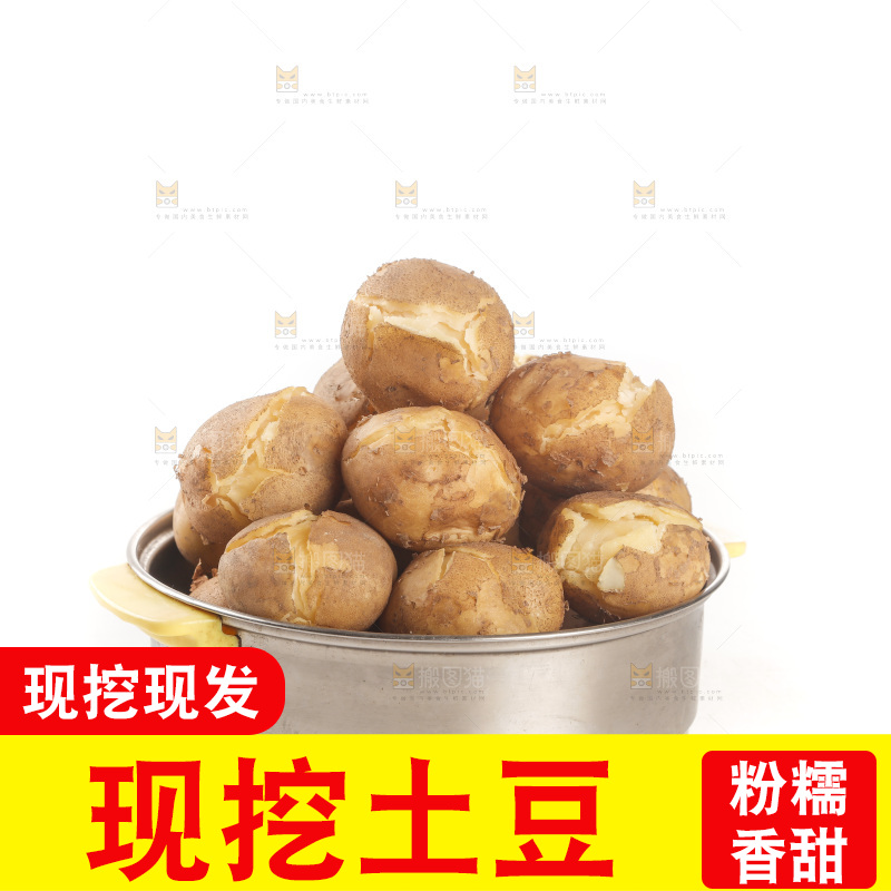 土豆