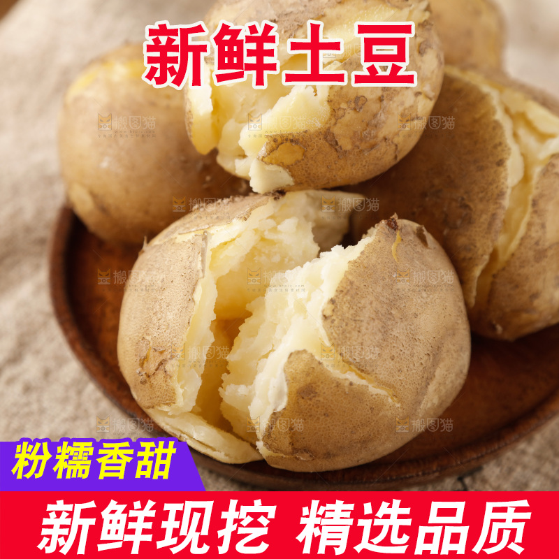 土豆