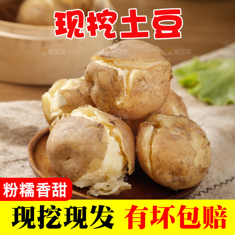 土豆