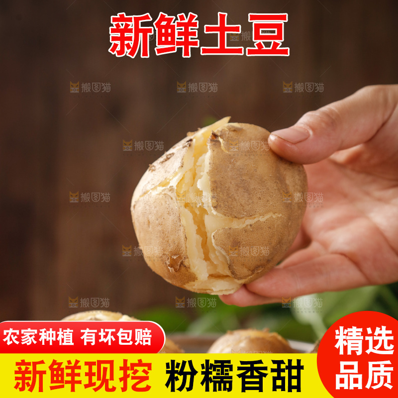 土豆