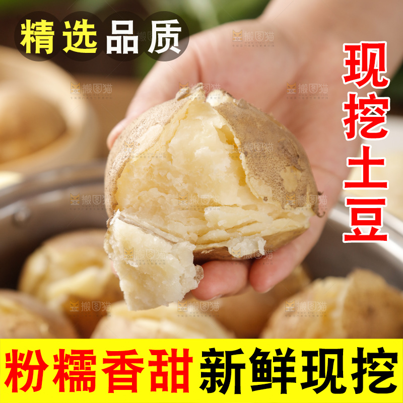 土豆