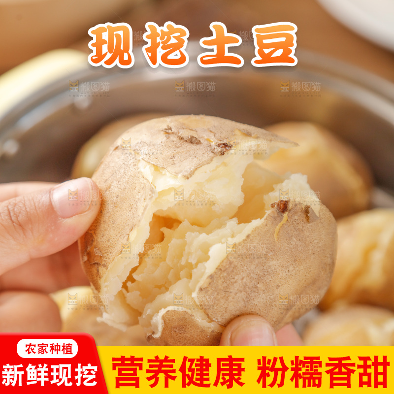 土豆