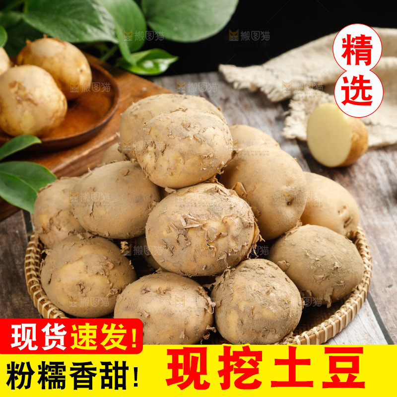 土豆
