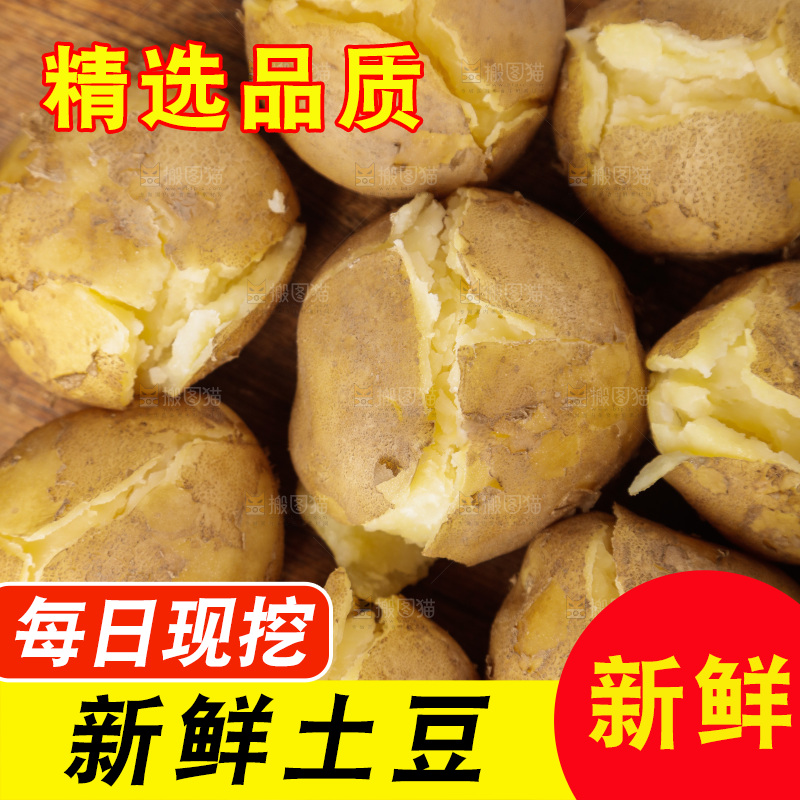 土豆