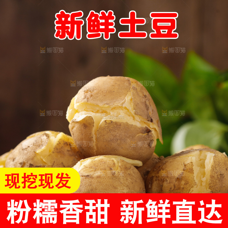 土豆