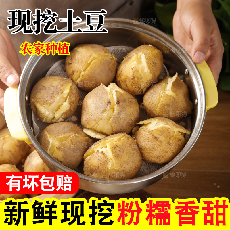 土豆