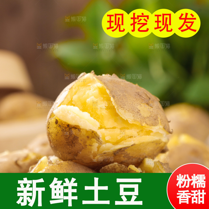 土豆