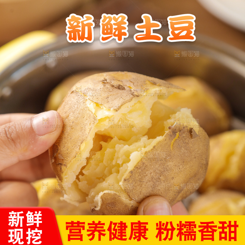 土豆