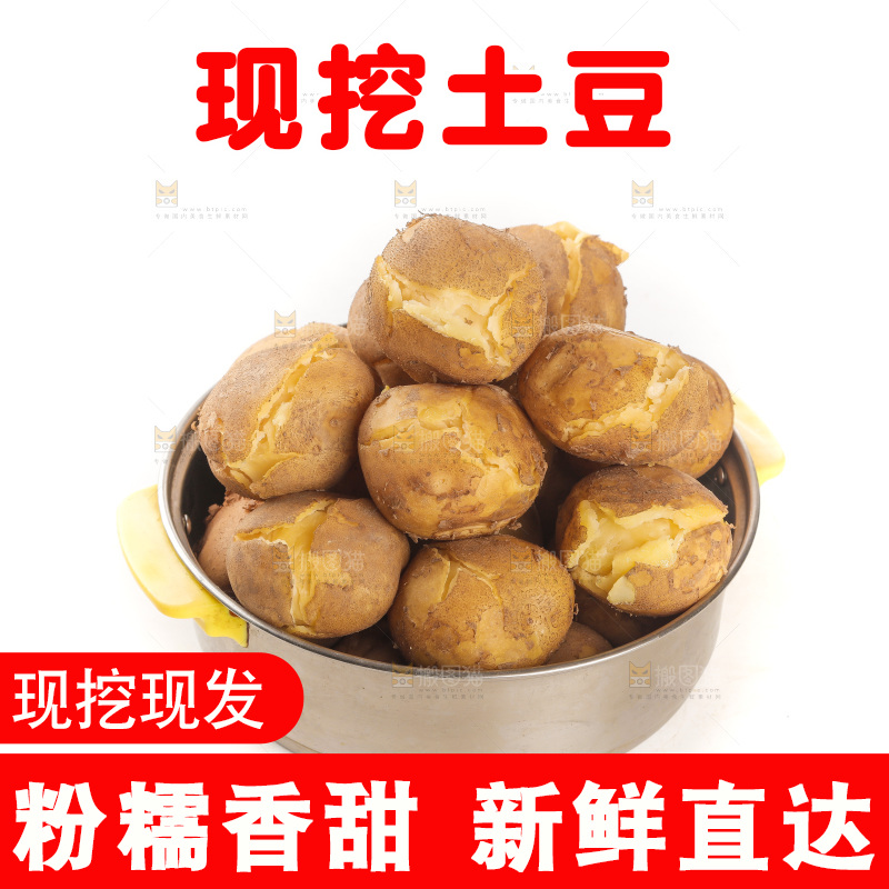 土豆