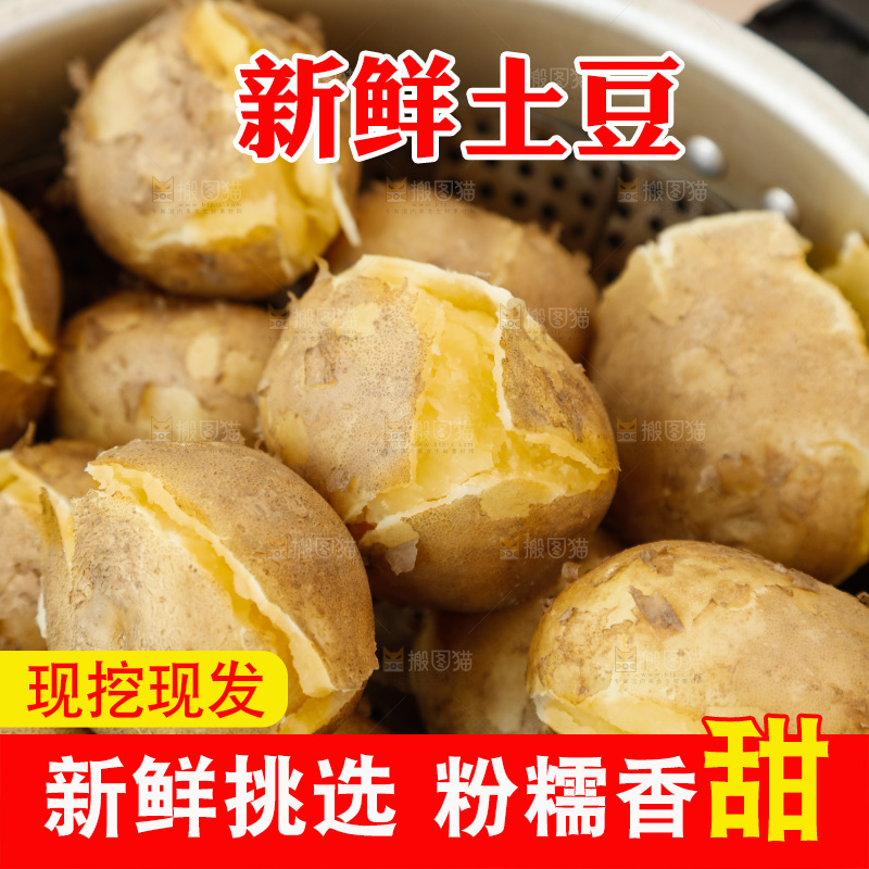 土豆