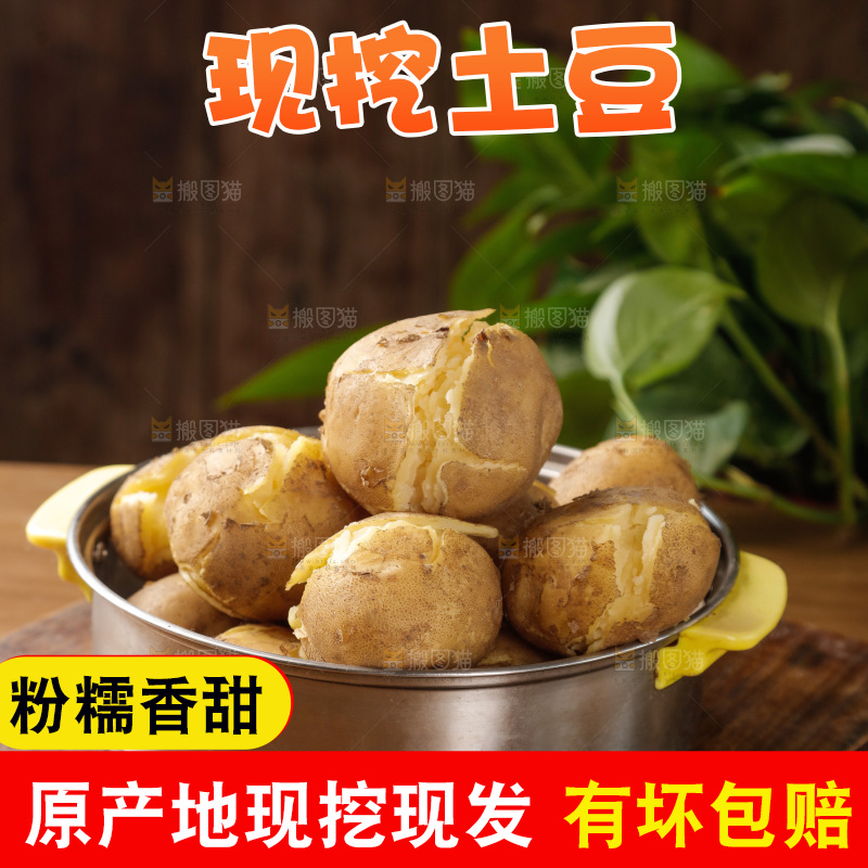 土豆