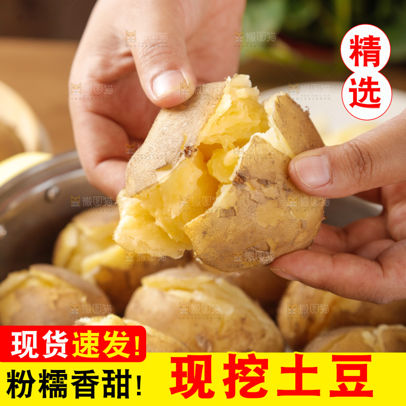 土豆