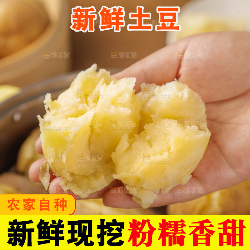 土豆