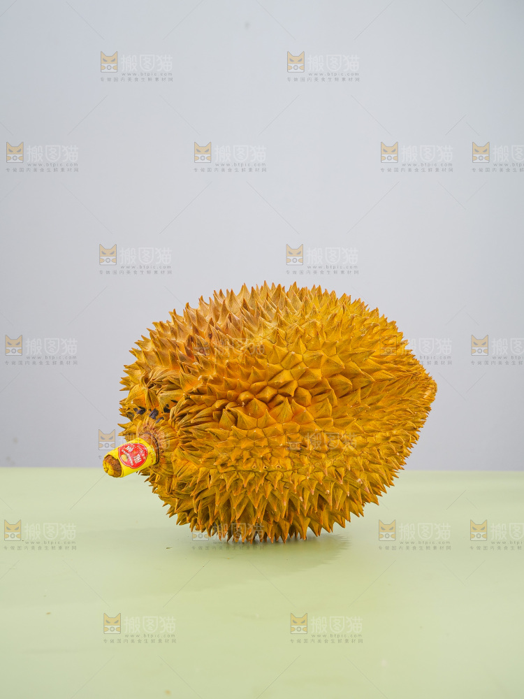 金枕榴莲