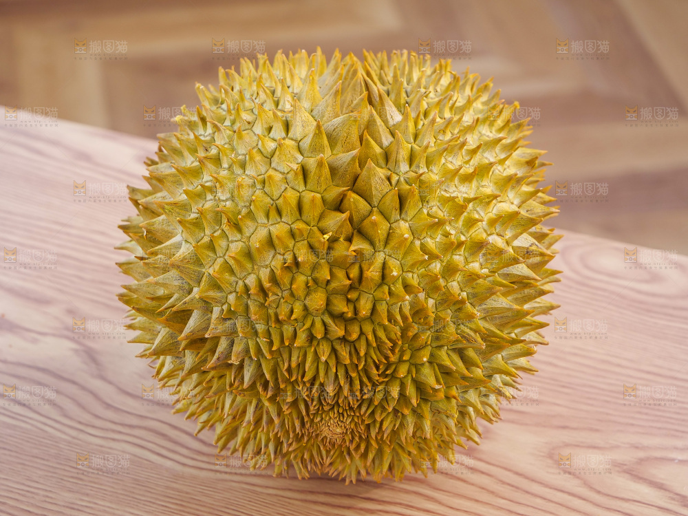 金枕榴莲
