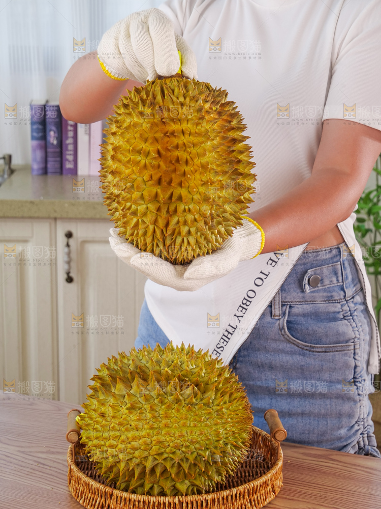 金枕榴莲