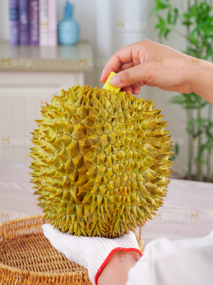 金枕榴莲