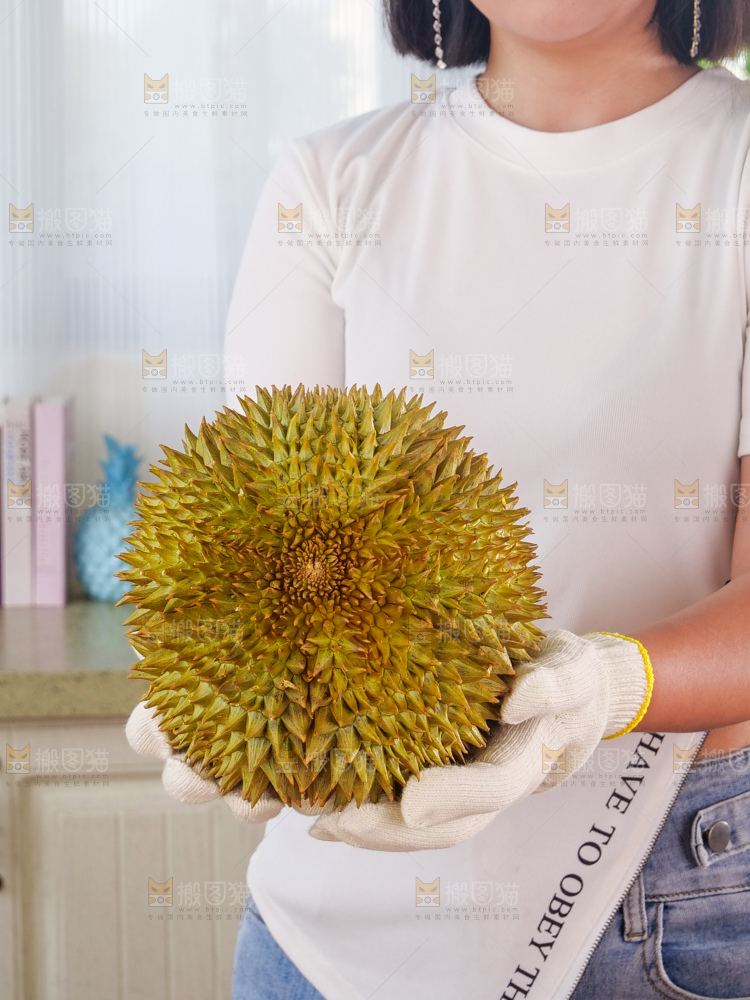 金枕榴莲