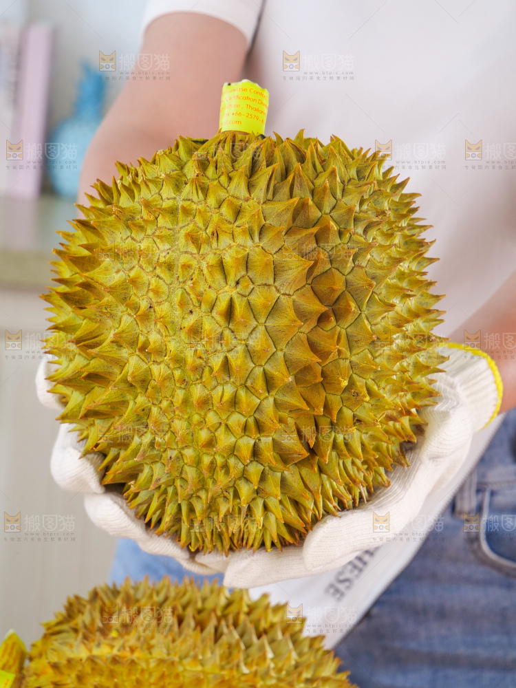 金枕榴莲