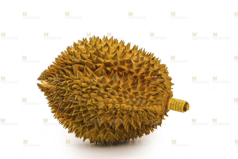 金枕榴莲