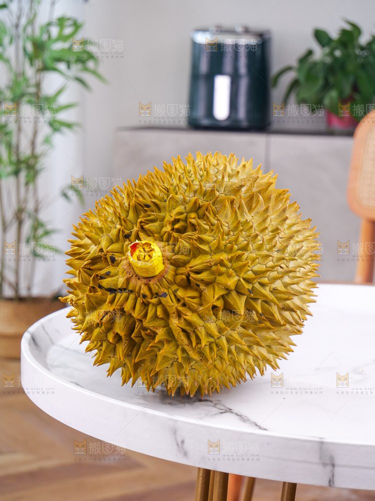 金枕榴莲