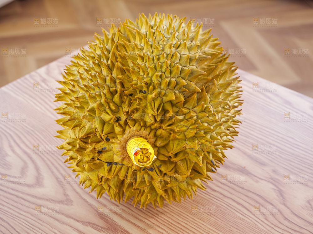 金枕榴莲