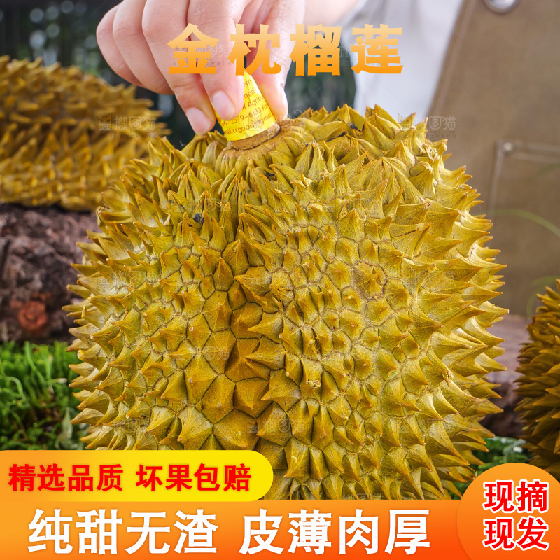 金枕榴莲