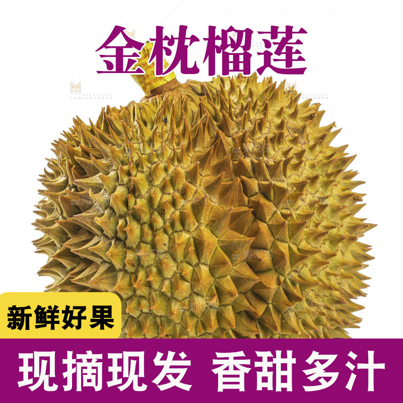 金枕榴莲