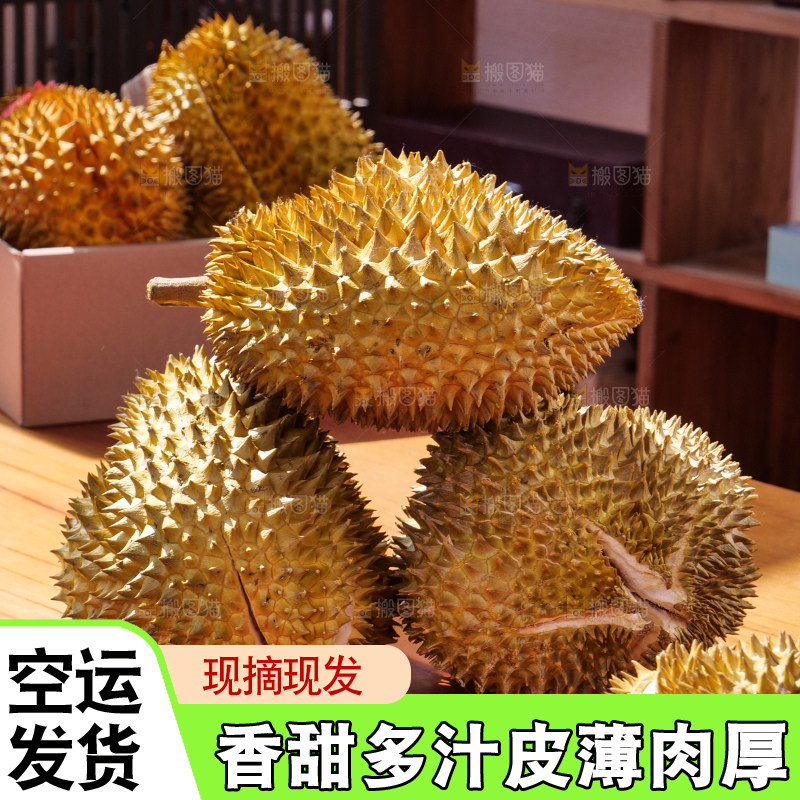 金枕榴莲