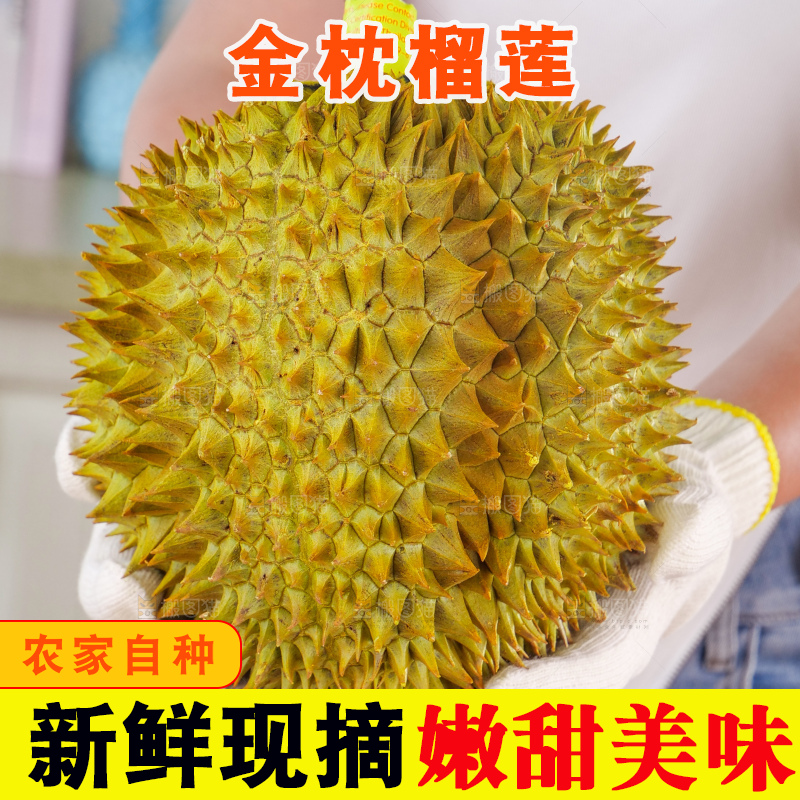 金枕榴莲