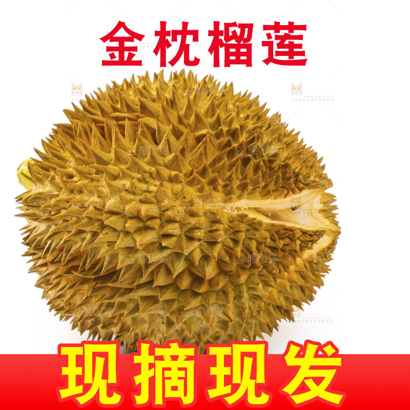 金枕榴莲